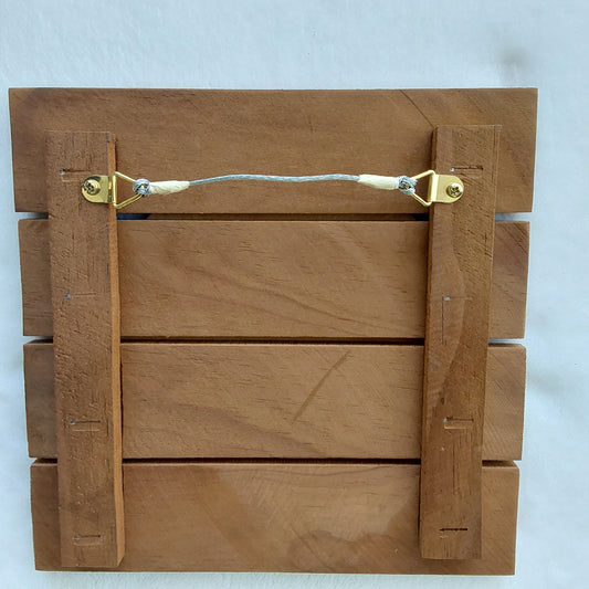 Kiwi Wall Plaque