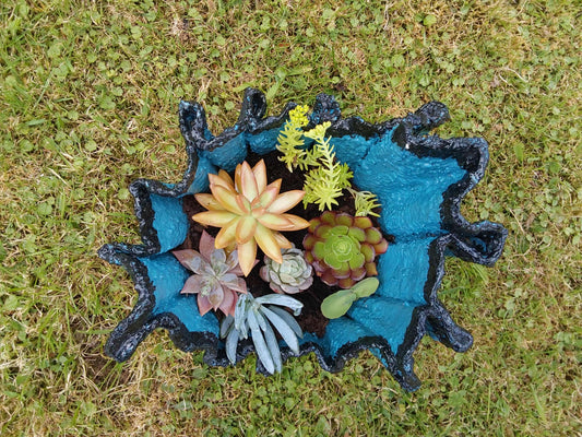 Handmade small cement planter with succulents.
