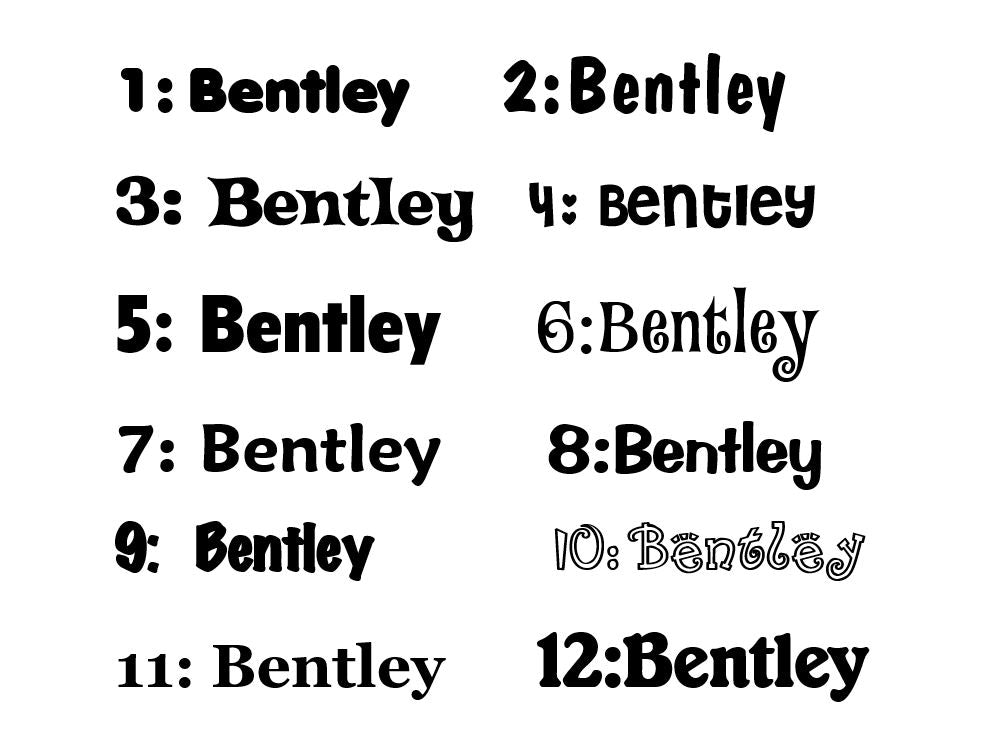 Personalised Names - 10cm high for the uppercase letter - Ashlee design and colour.