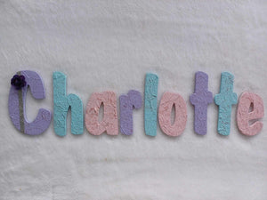 Charlotte small letters suitable for a door.