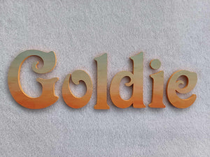 Goldie - small letters suitable for a door.