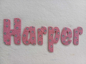 Harper - small letters suitable for a door.