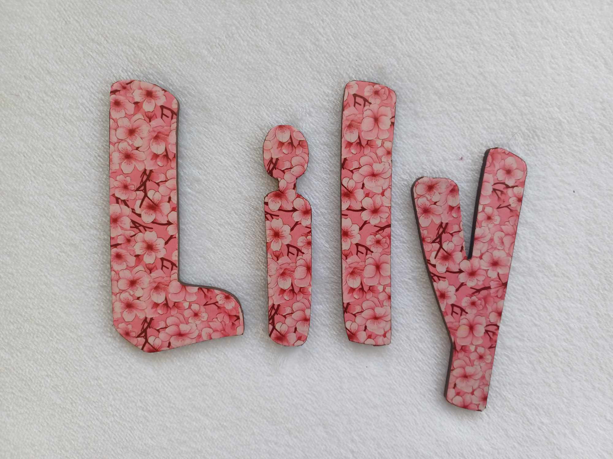 Lily - small letters suitable for a door.