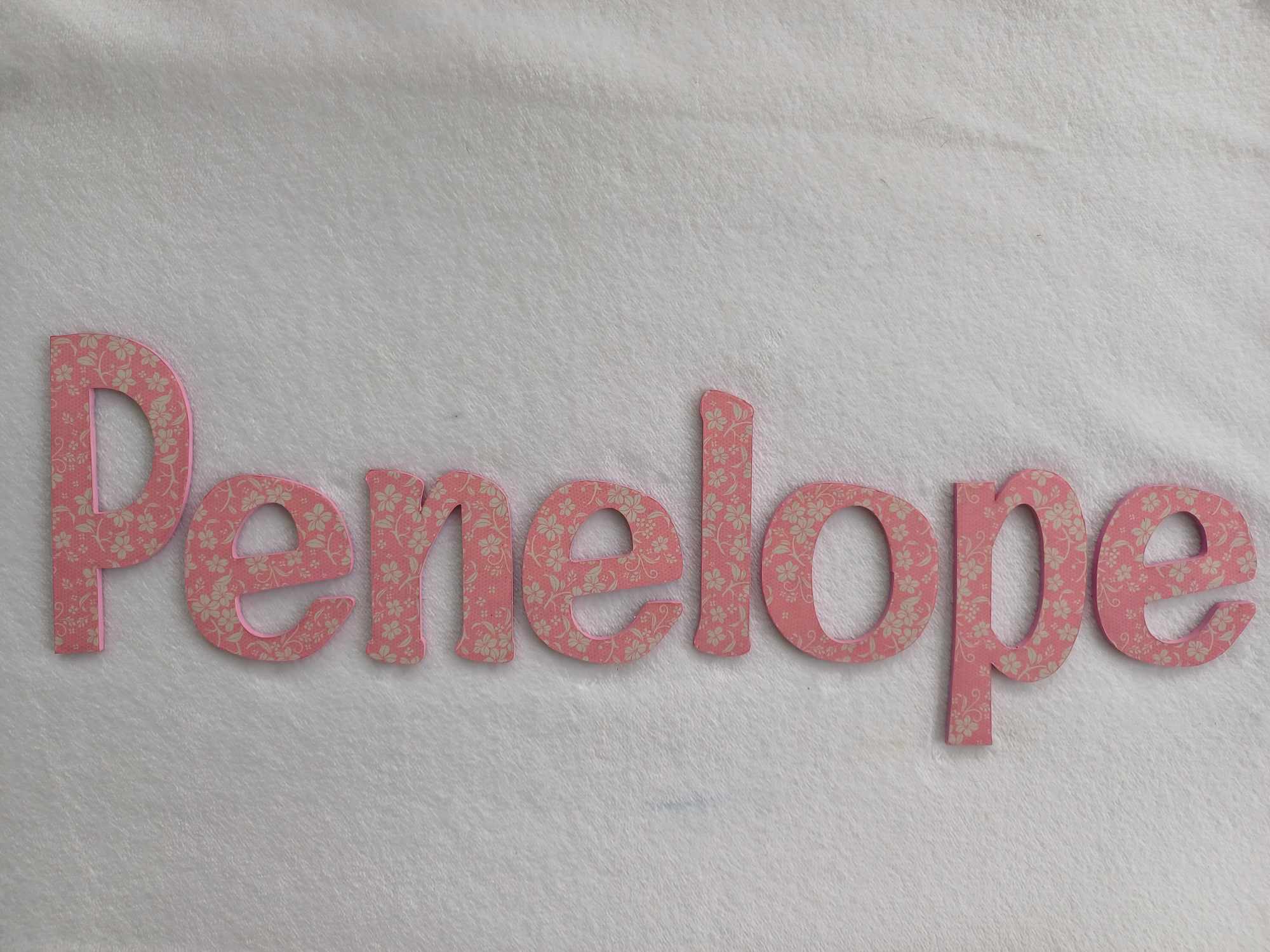 Penelope - small letters suitable for a door.