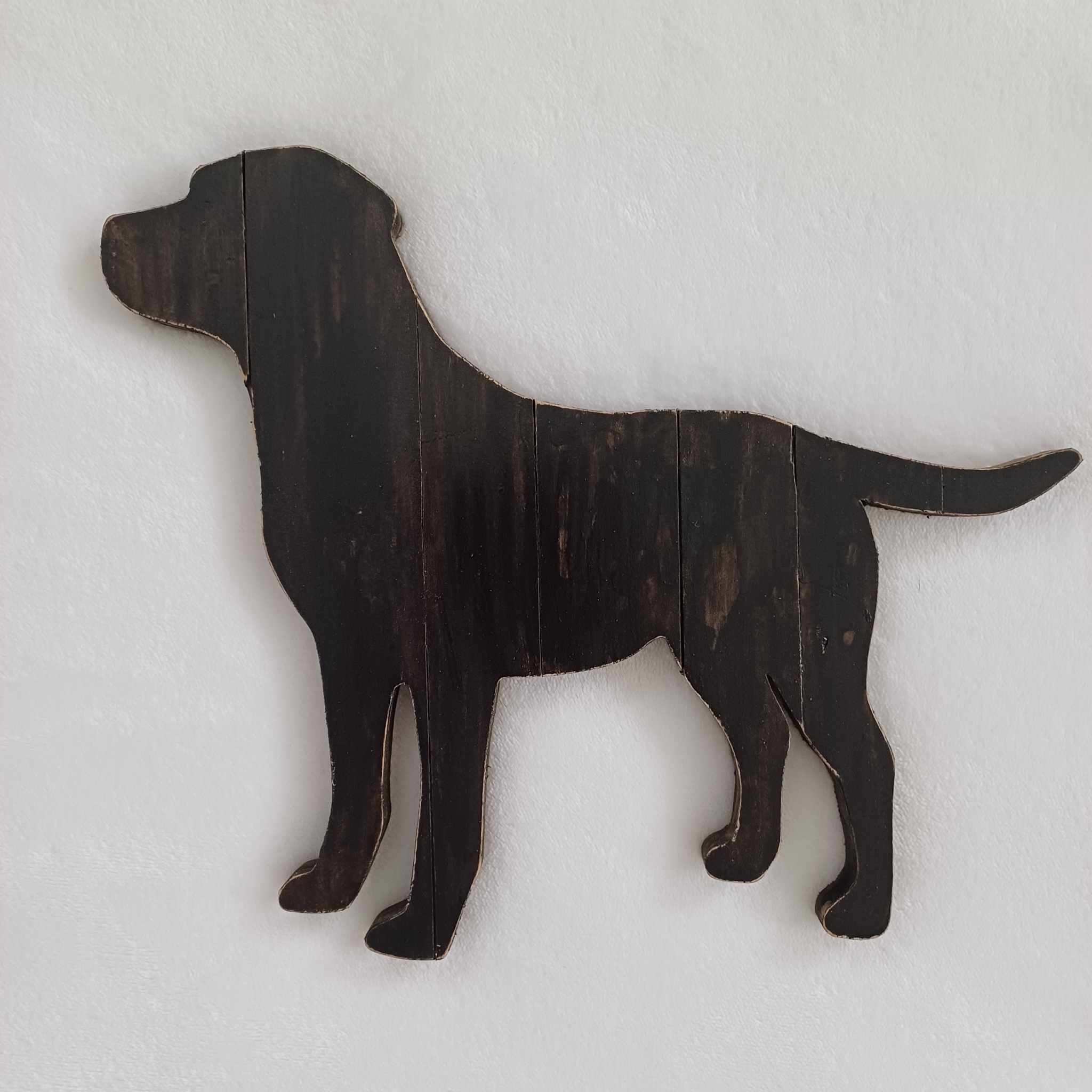 Black Labrador