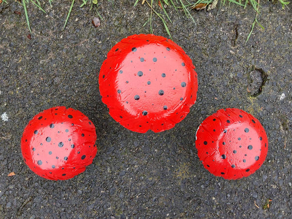 Set of 3 red coloured concrete mushrooms.