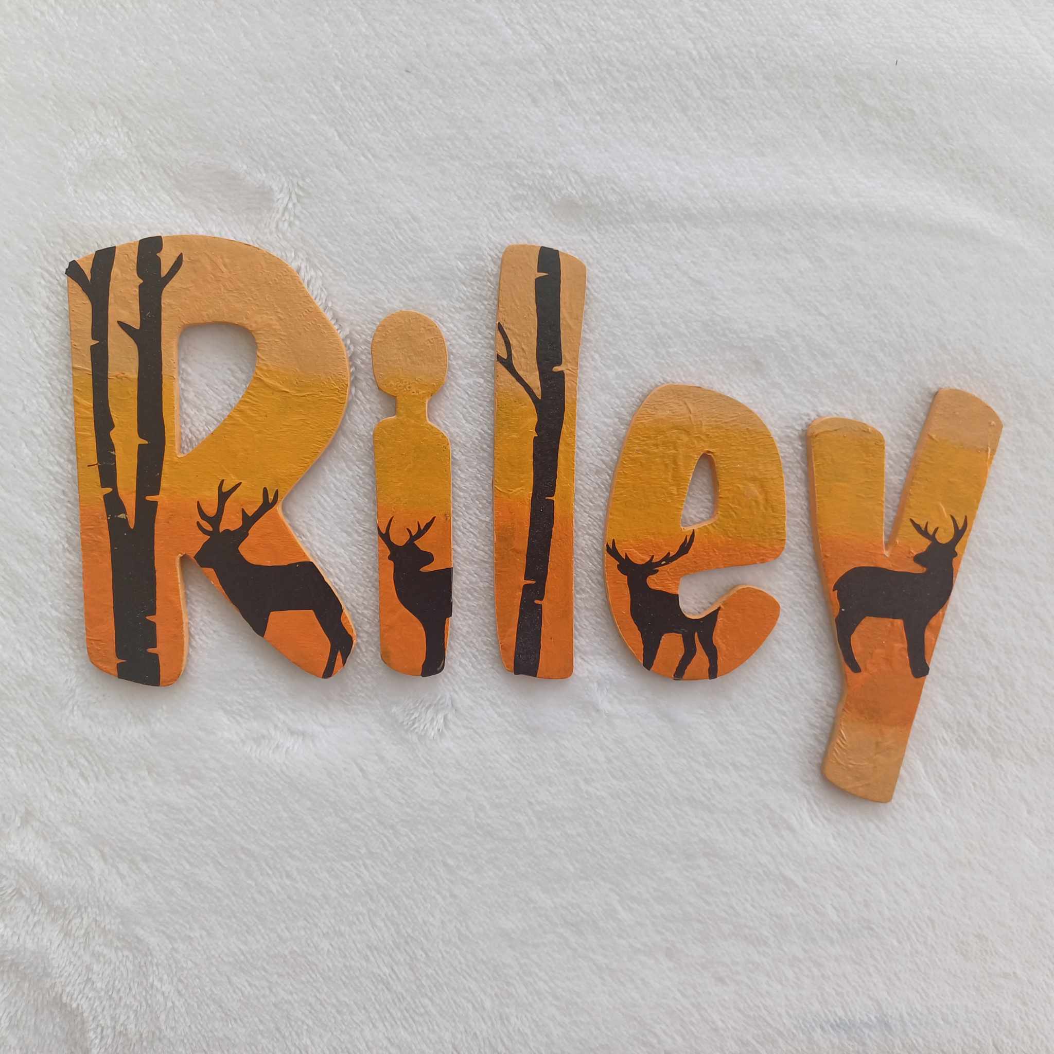 Riley - Door letters