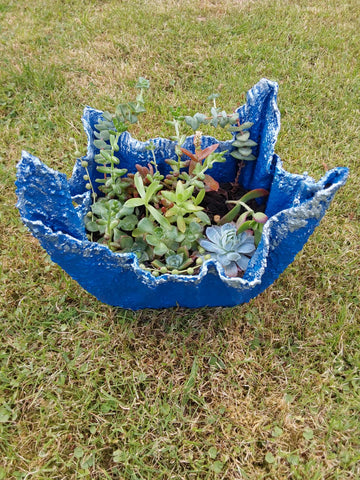 Handmade small cement planter with succulents.
