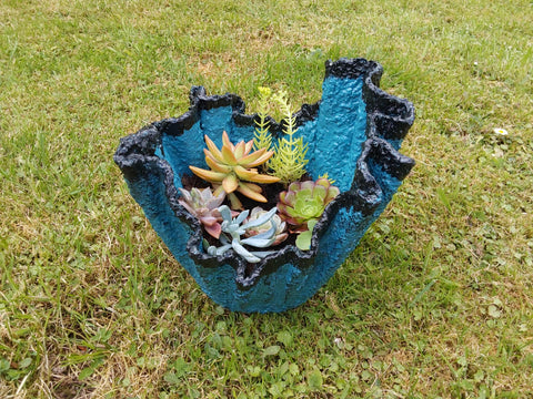 Handmade small cement planter with succulents.